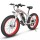 Электровелосипед 55 Fatbike SMLRO